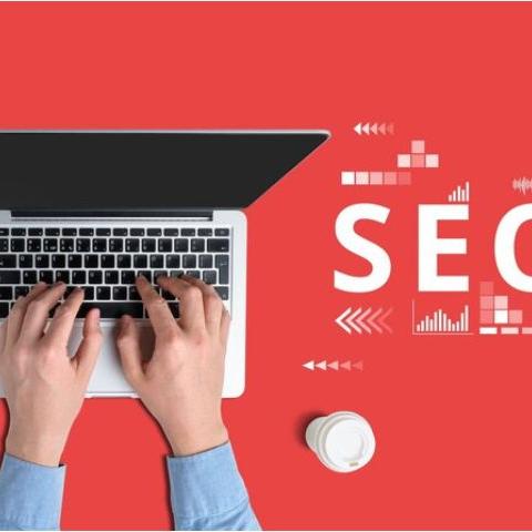 Why SEO Services is important for new websites