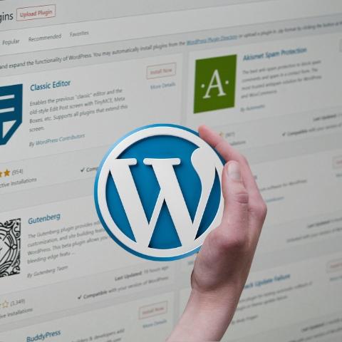 WordPress Web Design Services to Boost Your Online Presence