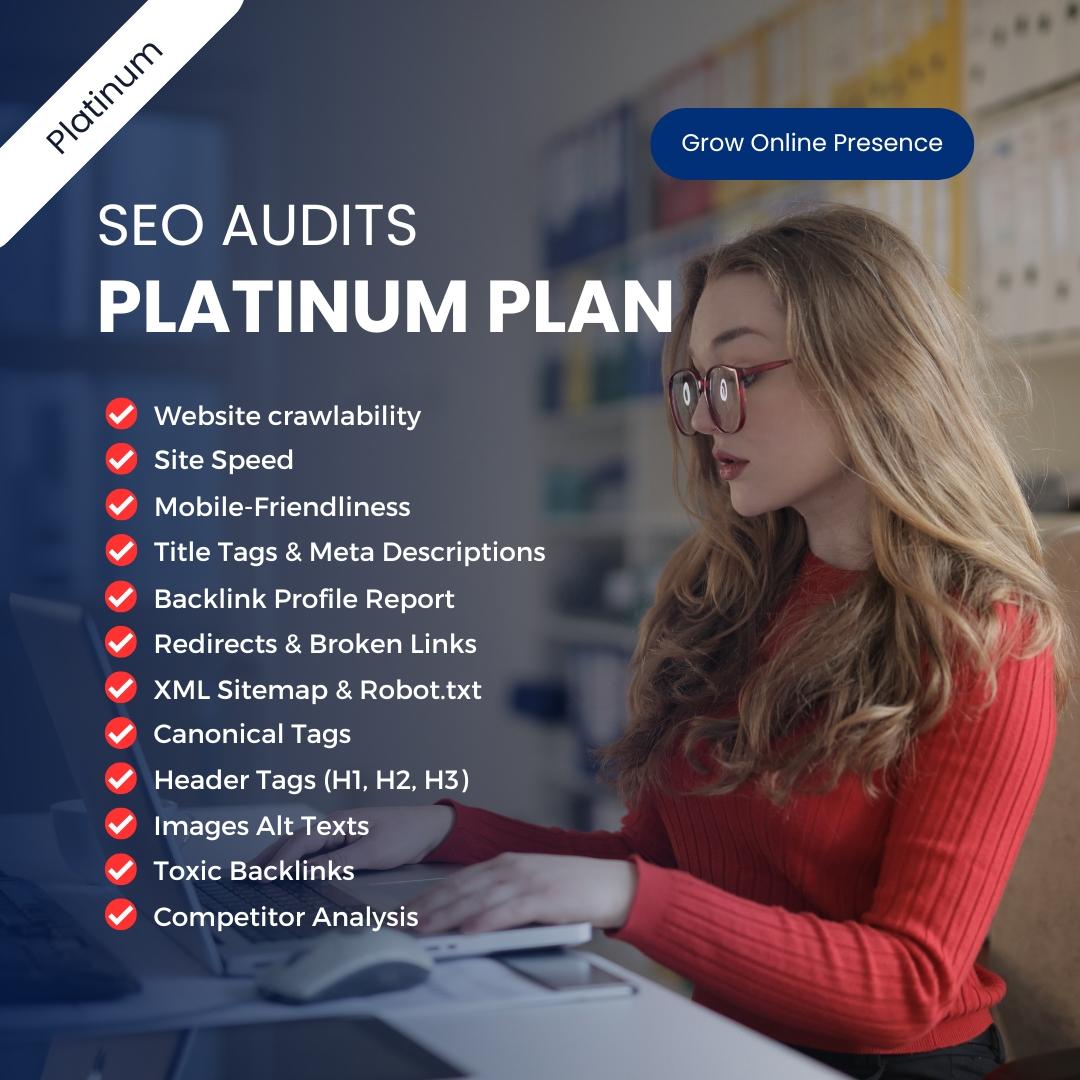 Platinum Package | SEO Audits