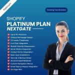 Shopify Platinum Plan