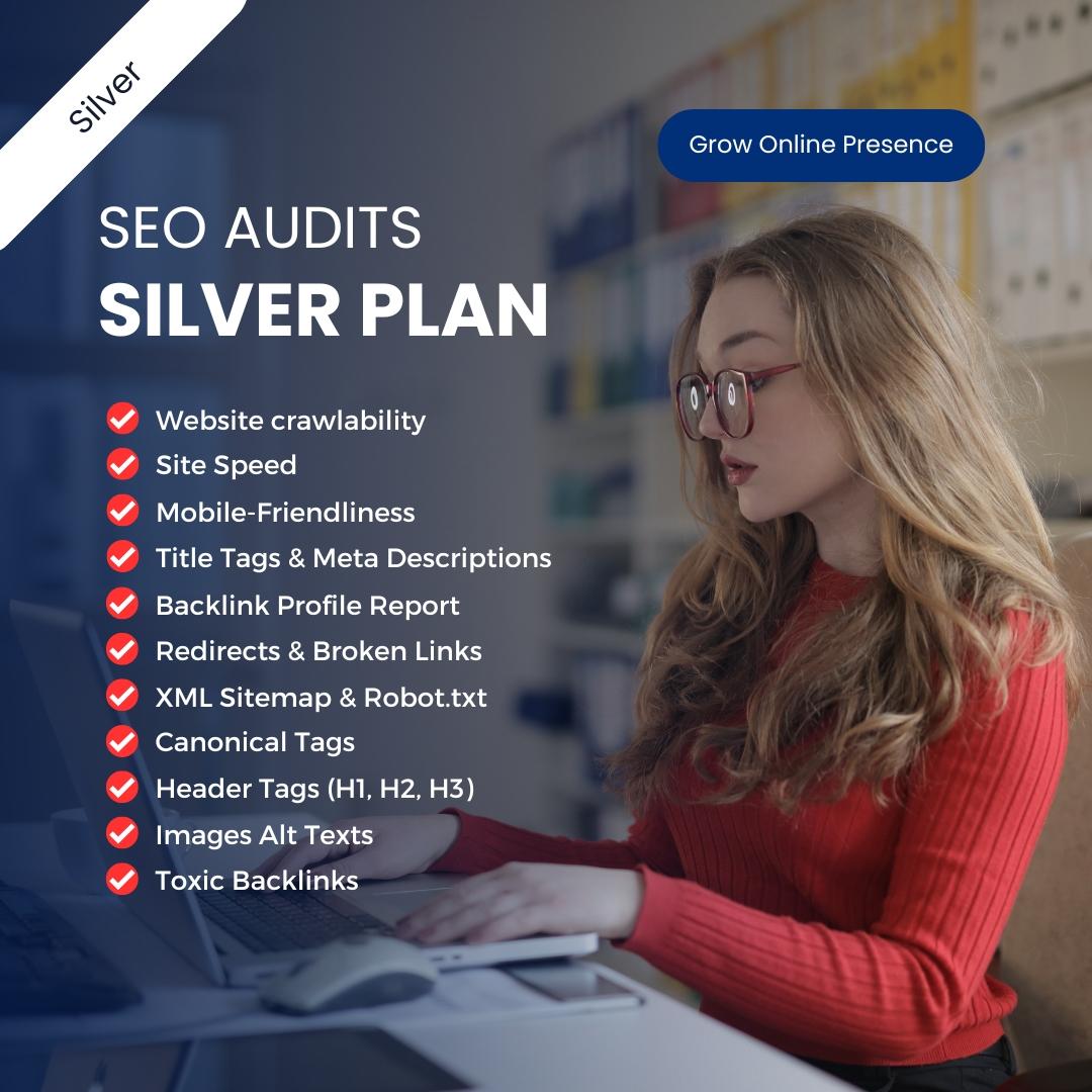 Silver Package | SEO Audits